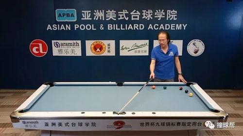 成人打桌球视频大全教学,从入门到精通，视频教程全方位教学