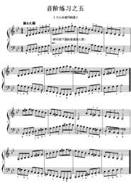 成人唱歌音阶视频,揭秘成人唱歌音阶的奥秘