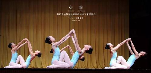 舞蹈成人后翻身视频大全,成人舞蹈翻身技巧大揭秘